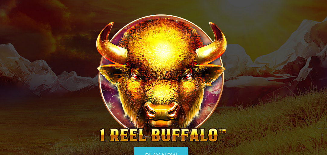 1 Reel Buffalo
