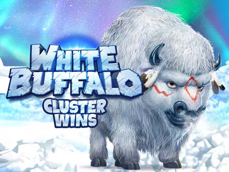 White Buffalo