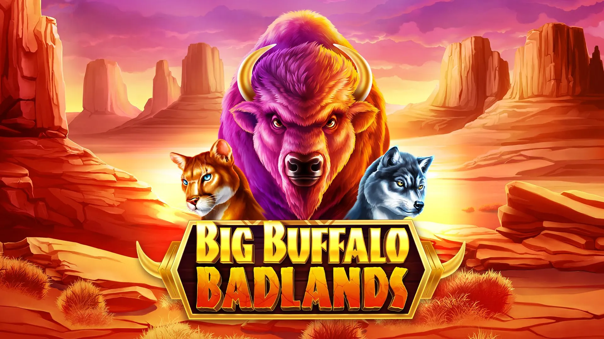 Buffalo Badlands
