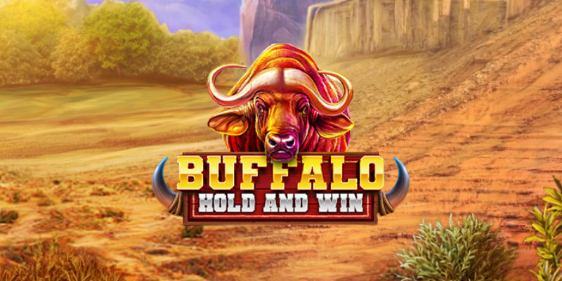 Buffalo Hold and Win