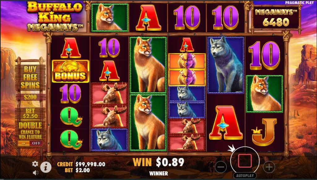 Buffalo king megaways gameplay